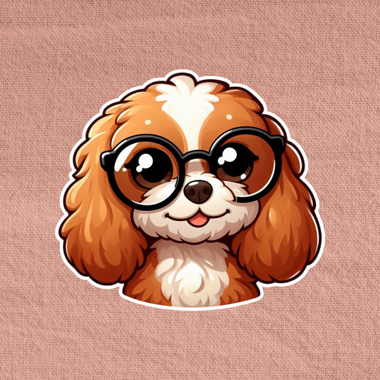 Cavapoo in glasses