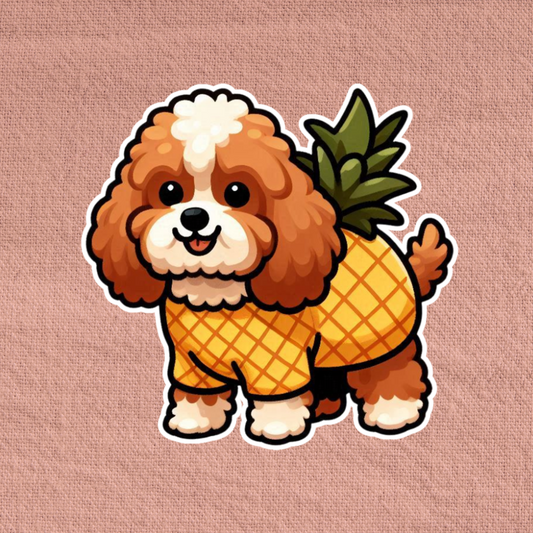 Pineapple Cavapoo