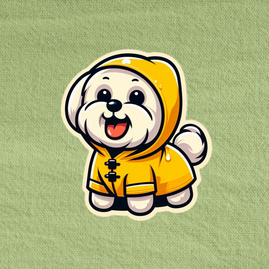 Raincoat Maltese