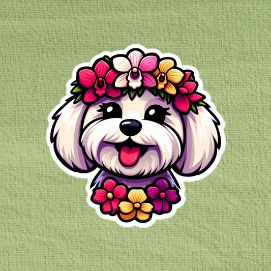 Orchid Flower Maltese