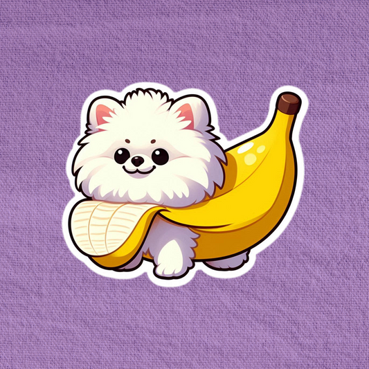 Banana Pomeranian