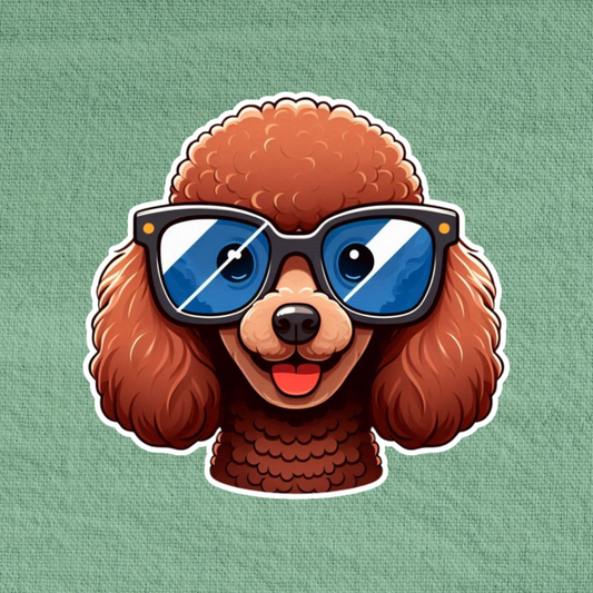 Poodle in glasses