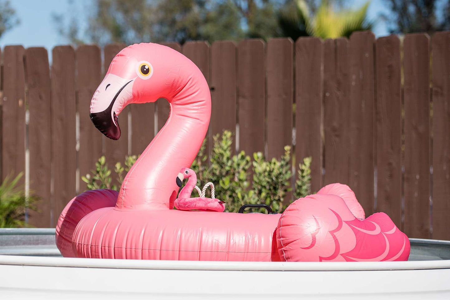 Flamingo Float - P.L.A.Y
