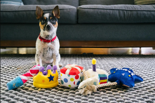 Pawfect Present - P.L.A.Y.