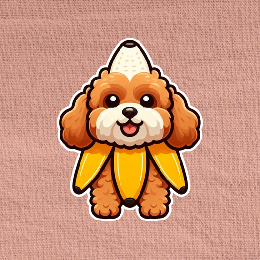 Banana Cavapoo