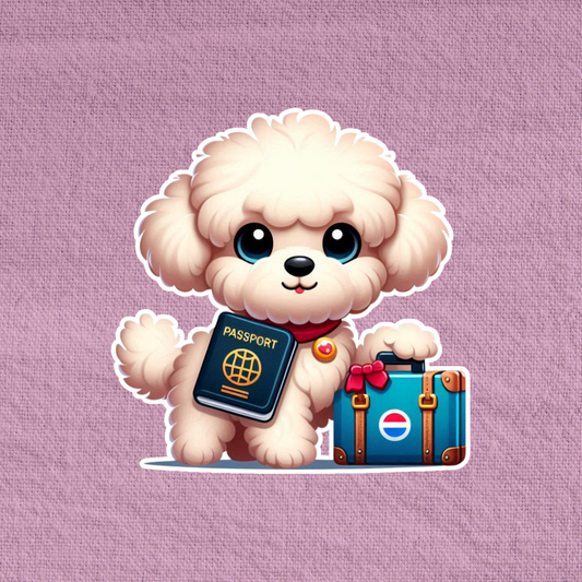 Travelling Maltipoo