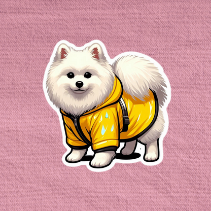 Raincoat Japanese Spitz