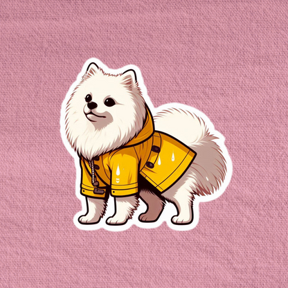 Raincoat Japanese Spitz