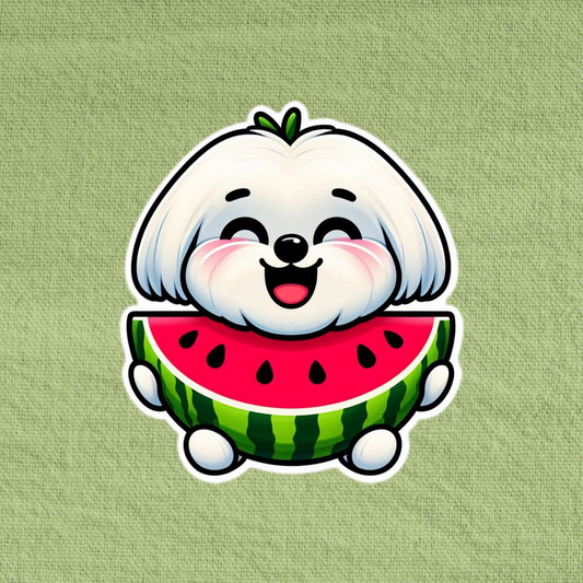 Watermelon Maltese