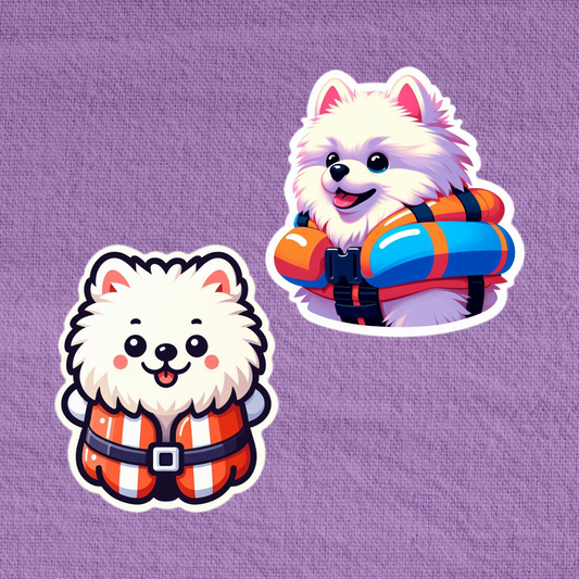 Rescue Pomeranian