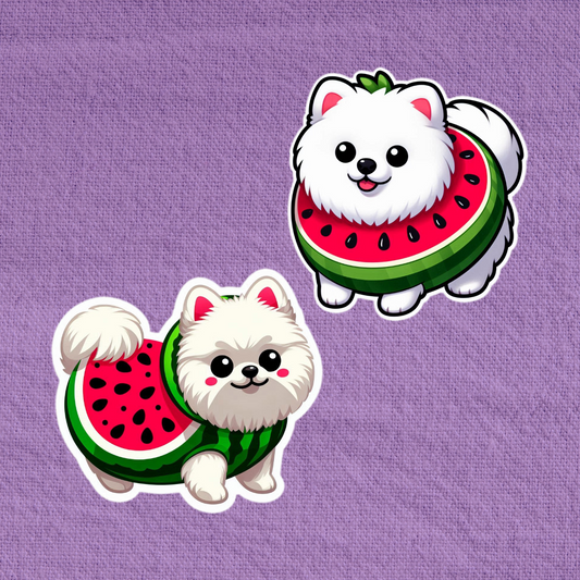 Watermelon Pomeranian