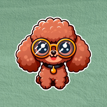 Poodle in glasses