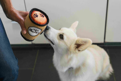 Doggo's Java - P.L.A.Y