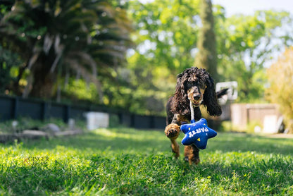 Best Day Ever Balloon - P.L.A.Y.
