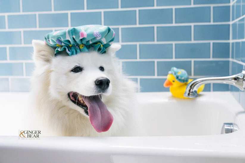 Shower Quack - P.L.A.Y.