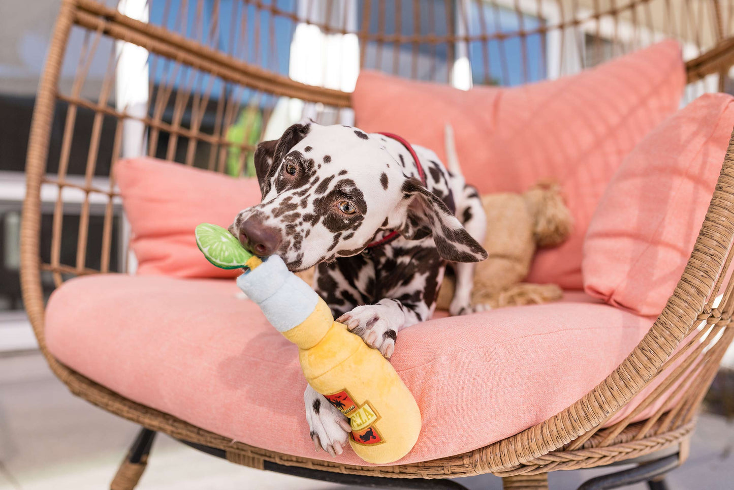 Canine Cerveza - P.L.A.Y