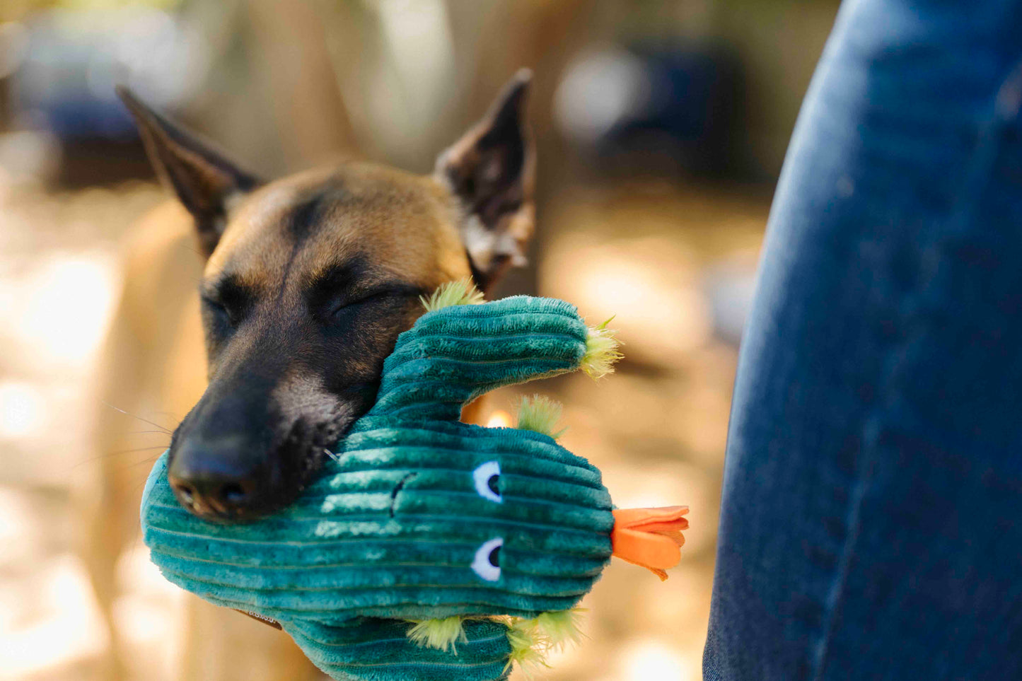 Prickly Pup Cactus - P.L.A.Y