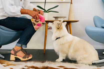 Doughboy Donut - P.L.A.Y.