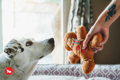 Gingerbread Man Plush Toy - P.L.A.Y.