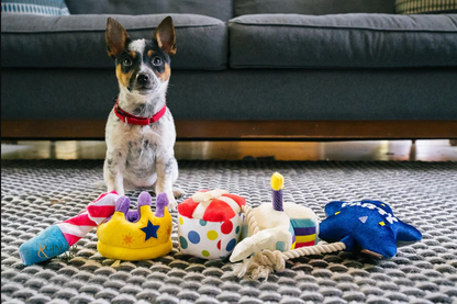 Pawfect Present - P.L.A.Y.