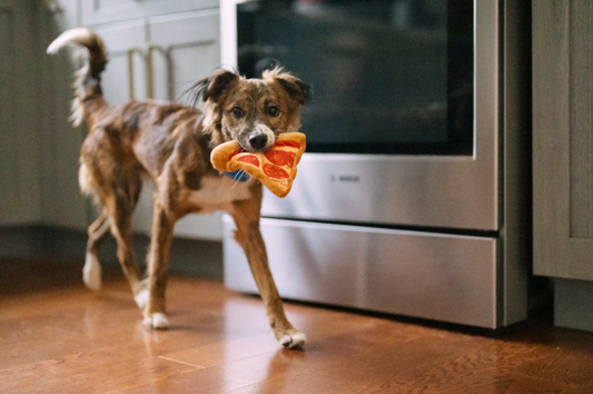 Pizza Mini Plush Toy - P.L.A.Y.