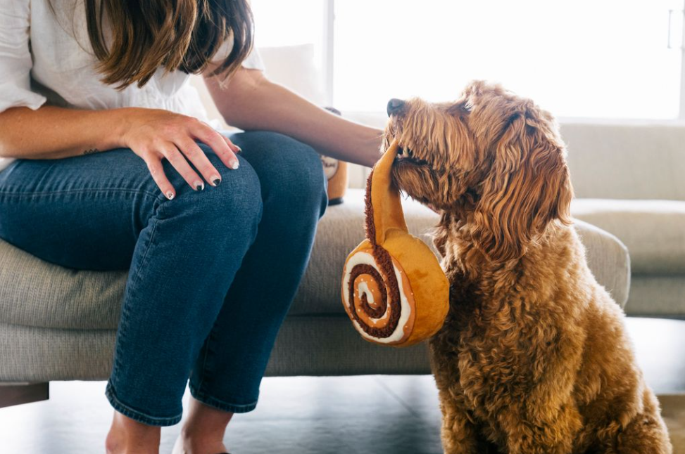 Cinna-Bone Mini Plush Toy - P.L.A.Y.