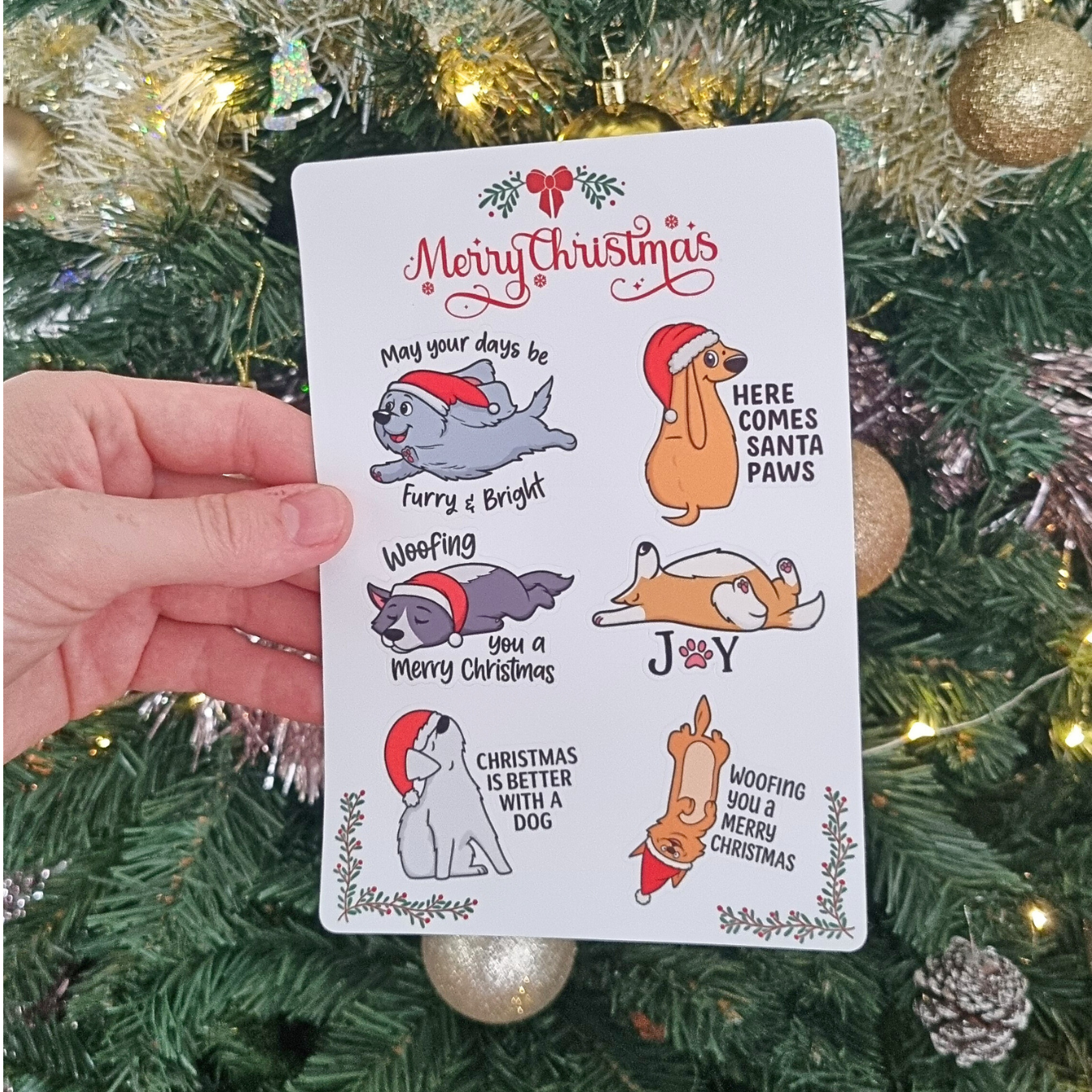 Limited Edition Christmas Box - Pre Sale