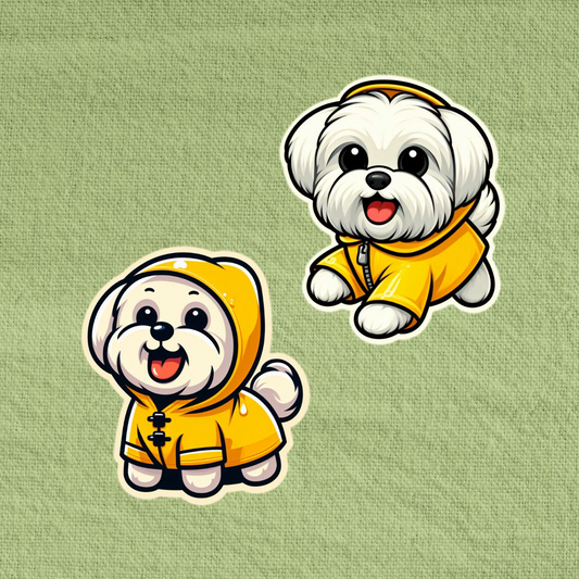 Raincoat Maltese