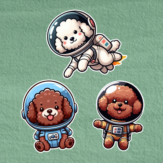Astronaut Poodle