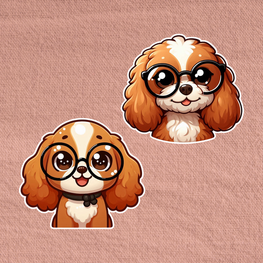 Cavapoo in glasses
