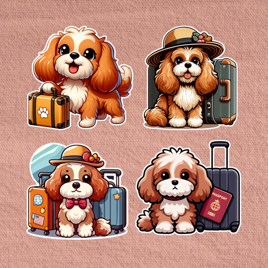 Travelling Cavapoo