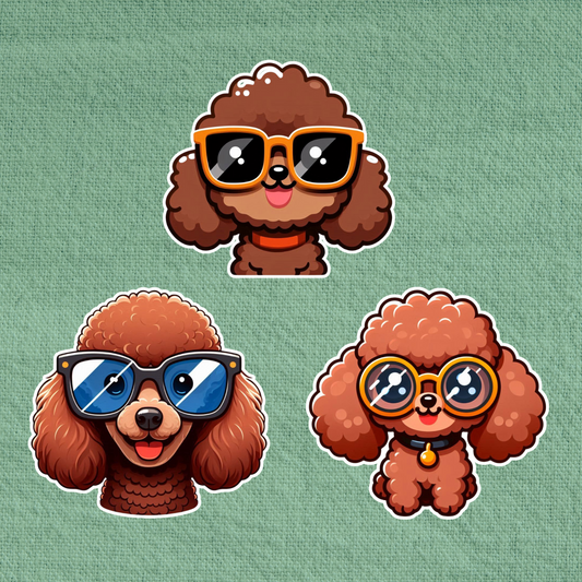 Poodle in glasses