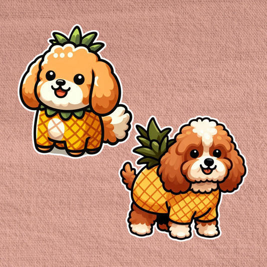 Pineapple Cavapoo