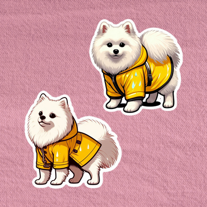 Raincoat Japanese Spitz