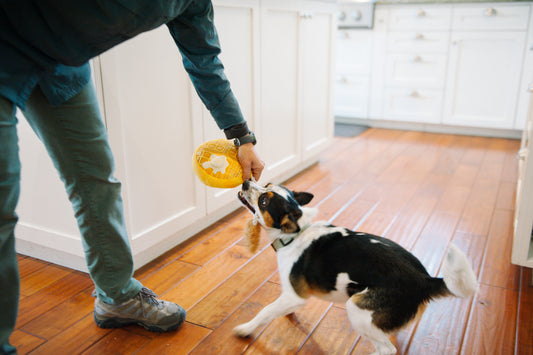 Chicken & Woofles Mini Plush Dog Toy - P.L.A.Y
