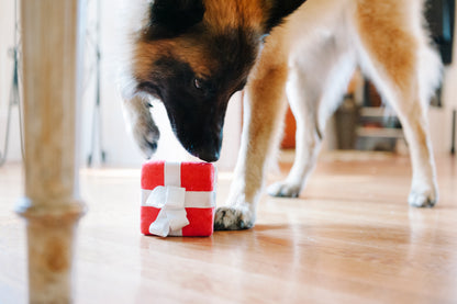 Pawfect Present - P.L.A.Y.