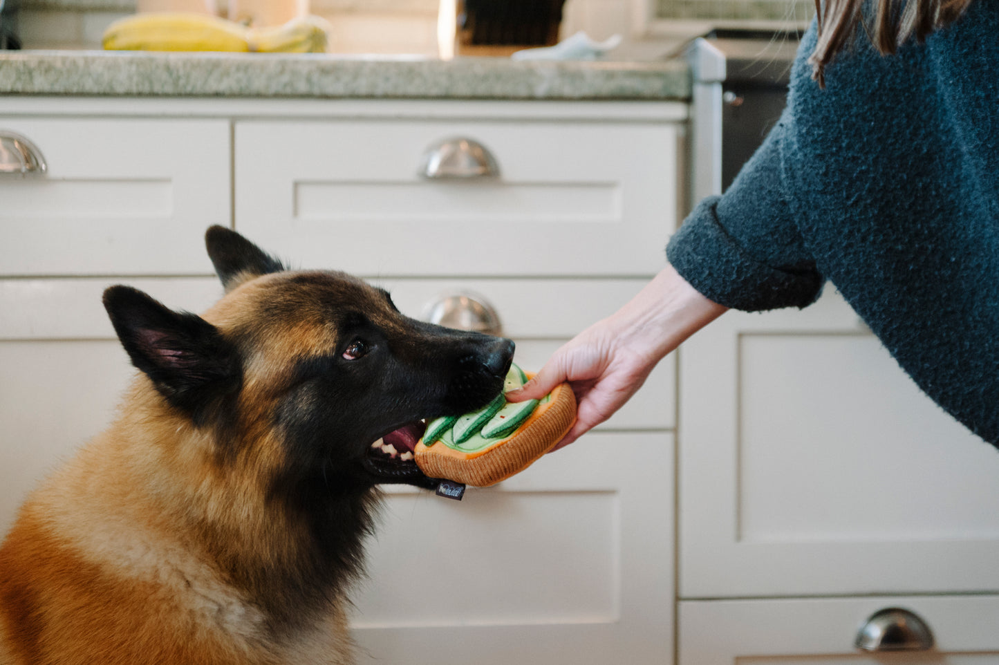 Avo-doggo Toast - P.L.A.Y